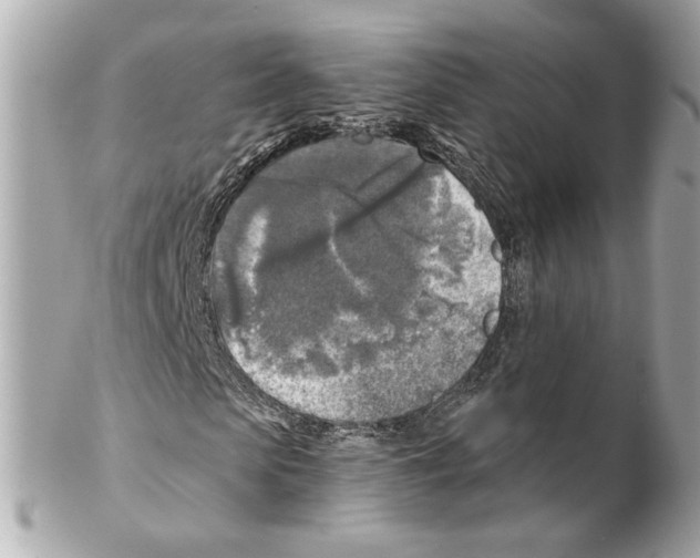 X0000102020913200808151312