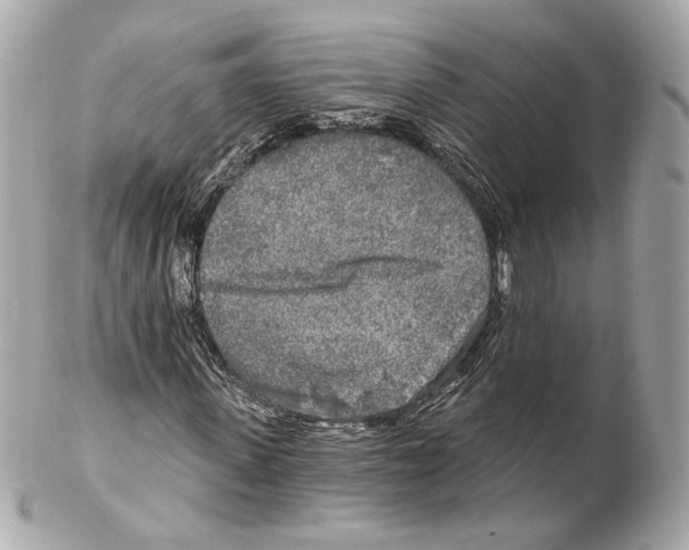 X0000102020915200808151312