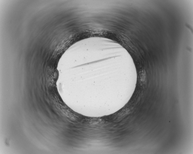 X0000102020916200808151312