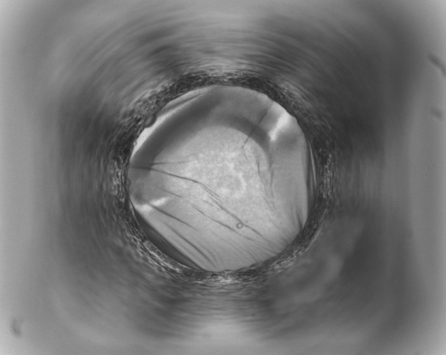 X0000102020917200808151312