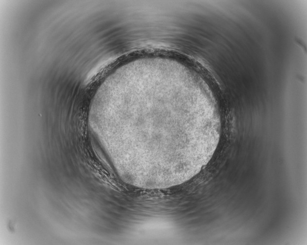 X0000102020919200808151312