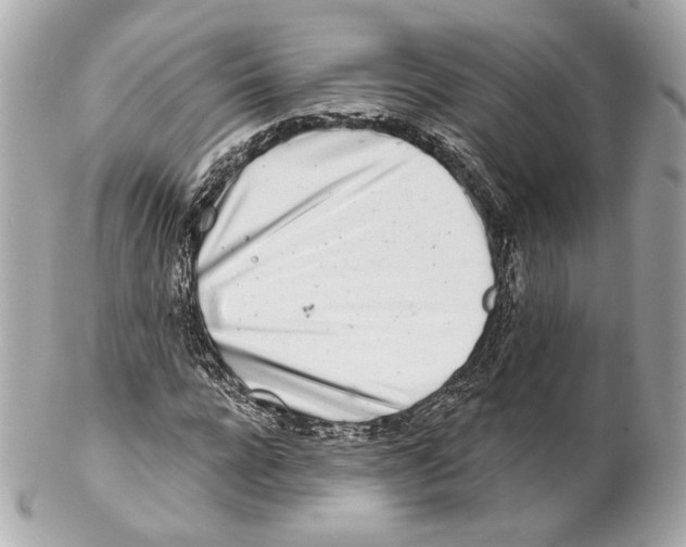 X0000102020920200808151312