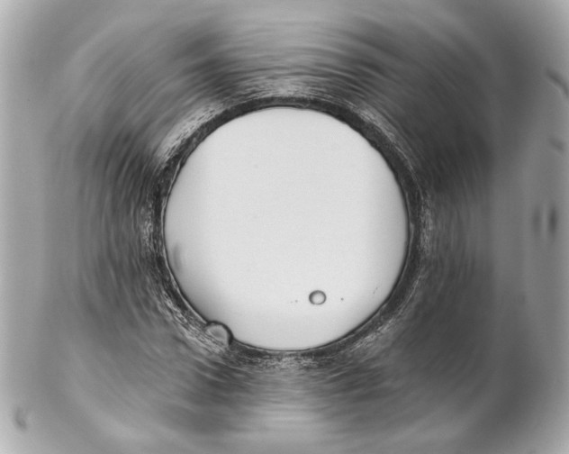 X0000102020922200808151312