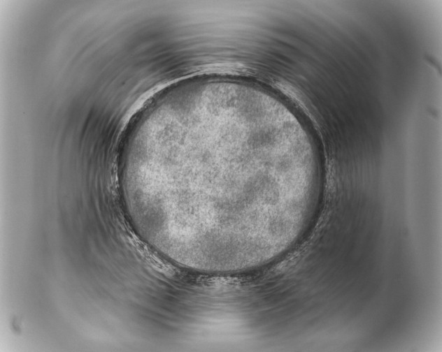 X0000102020923200808151312