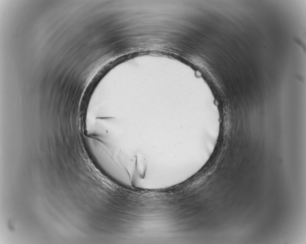 X0000102020924200808151312
