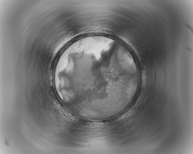 X0000102020925200808151312