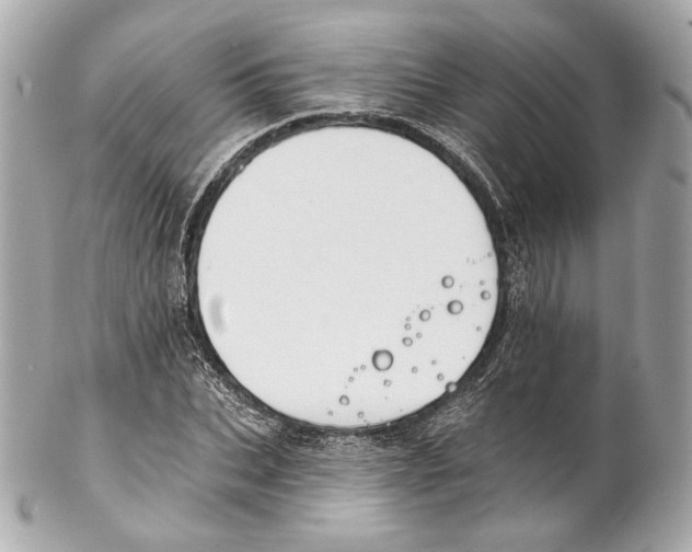 X0000102020927200808151312