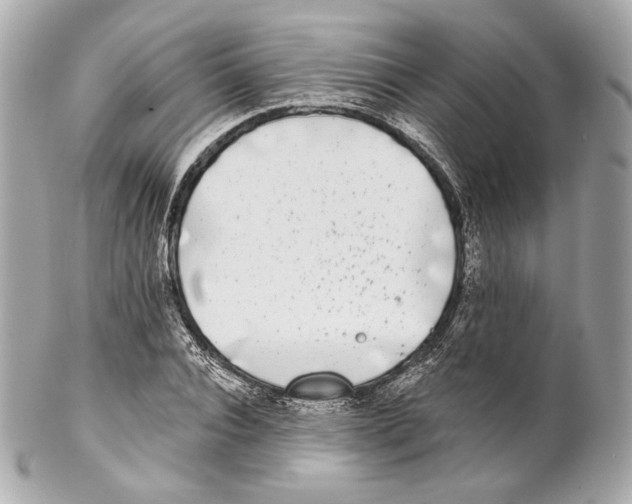 X0000102020928200808151312