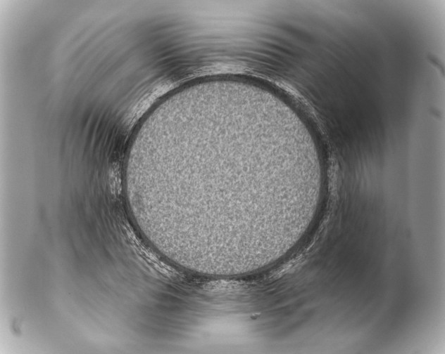 X0000102020929200808151312