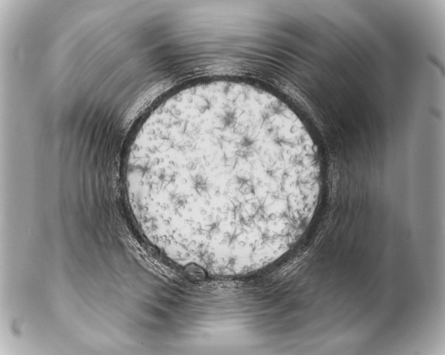 X0000102020930200808151312
