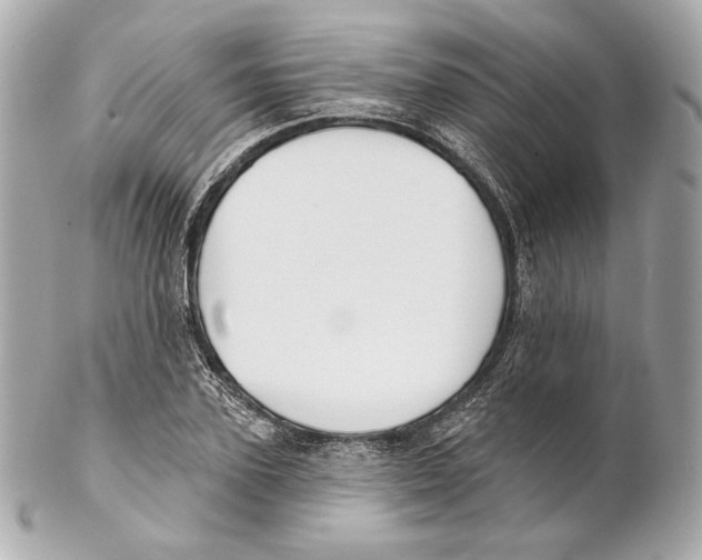 X0000102020931200808151312