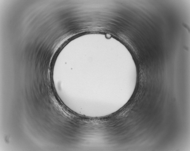 X0000102020932200808151312