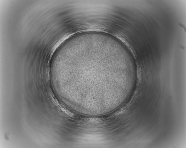 X0000102020933200808151312