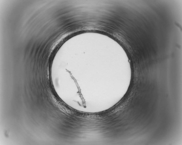 X0000102020934200808151312