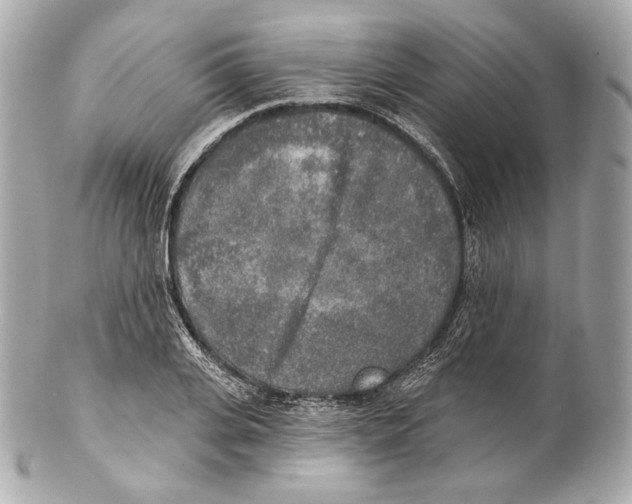 X0000102020935200808151312
