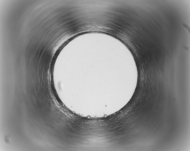X0000102020936200808151312