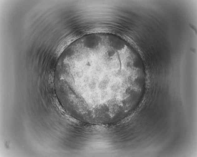 X0000102020937200808151312