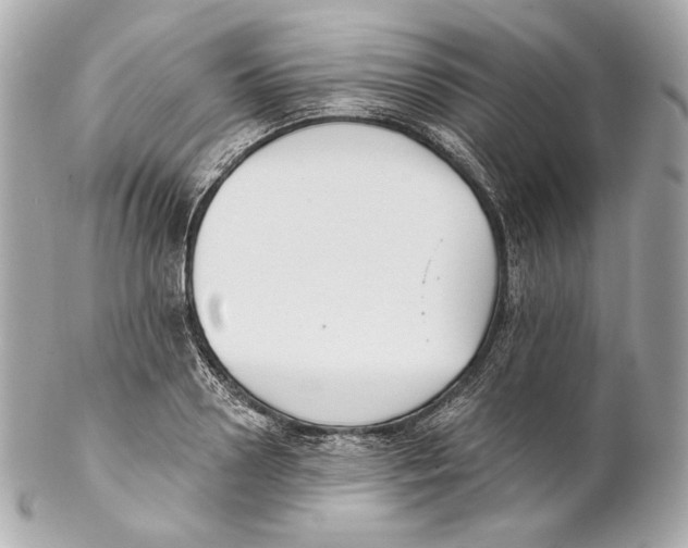 X0000102020938200808151312