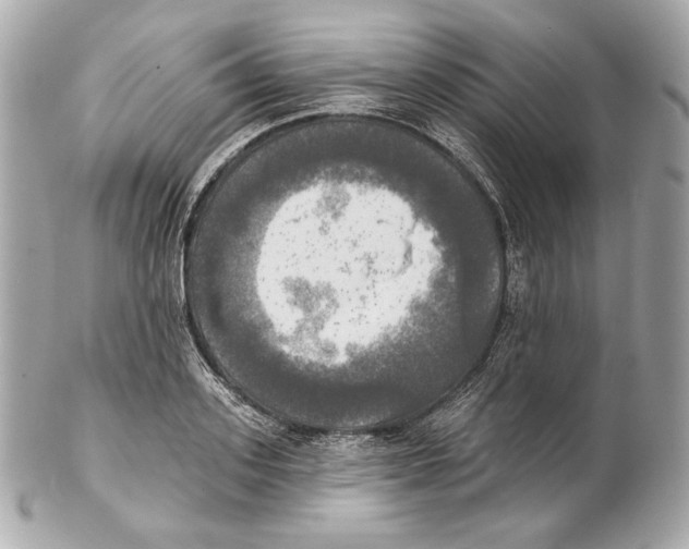 X0000102020939200808151312