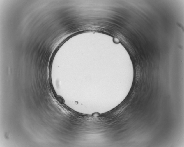 X0000102020940200808151312