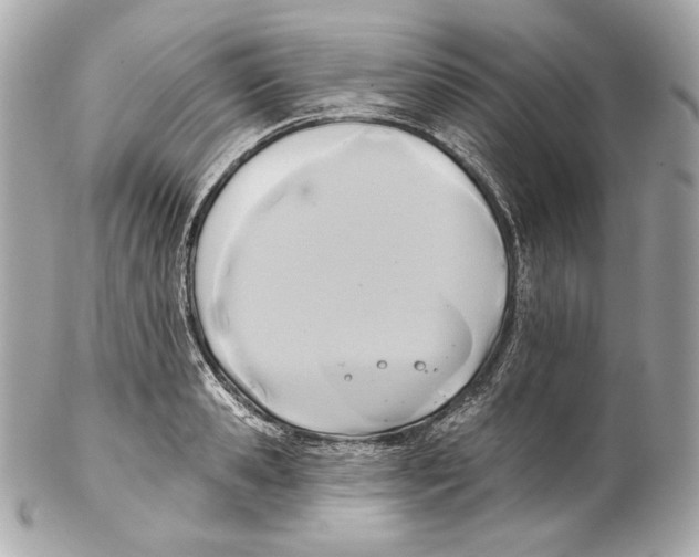 X0000102020941200808151312