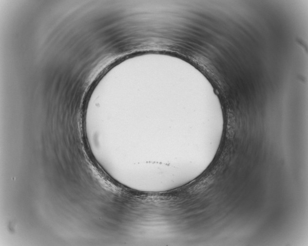 X0000102020942200808151312