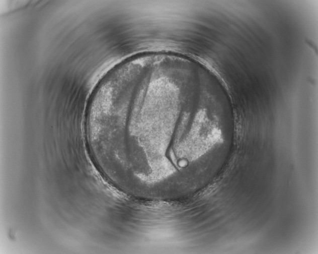 X0000102020943200808151312