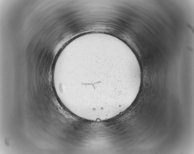 X0000102020944200808151312