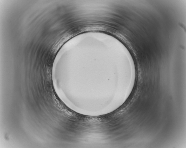X0000102020945200808151312