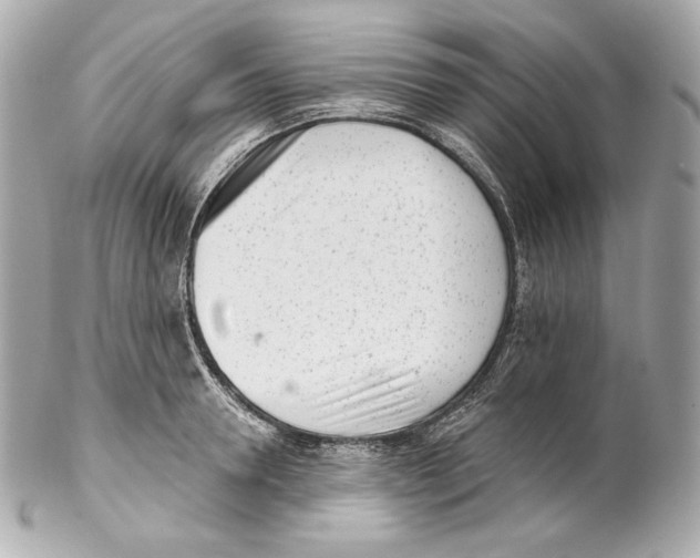 X0000102020946200808151312