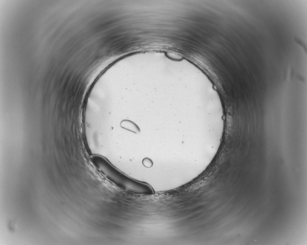 X0000102020948200808151312