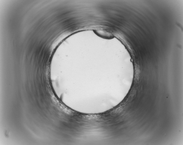 X0000102020952200808151312