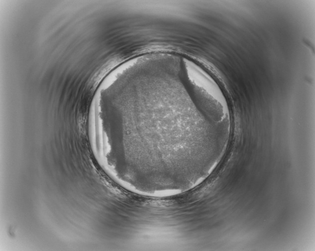 X0000102020953200808151312