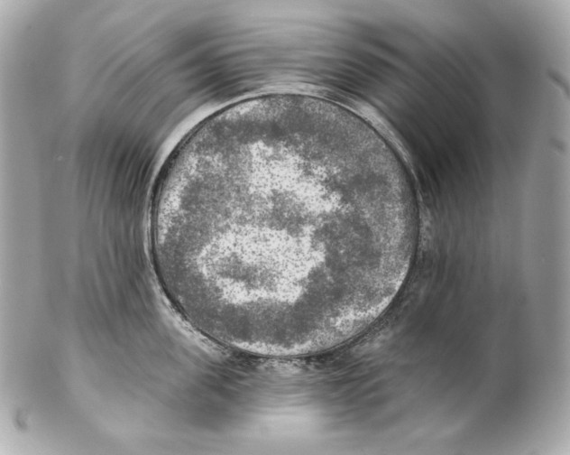 X0000102020955200808151312