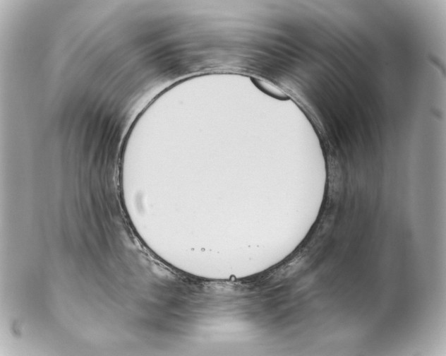 X0000102020956200808151312