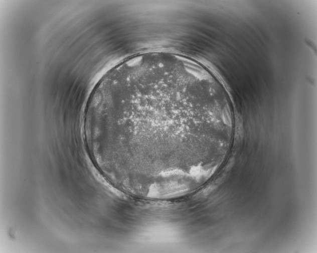 X0000102020957200808151312