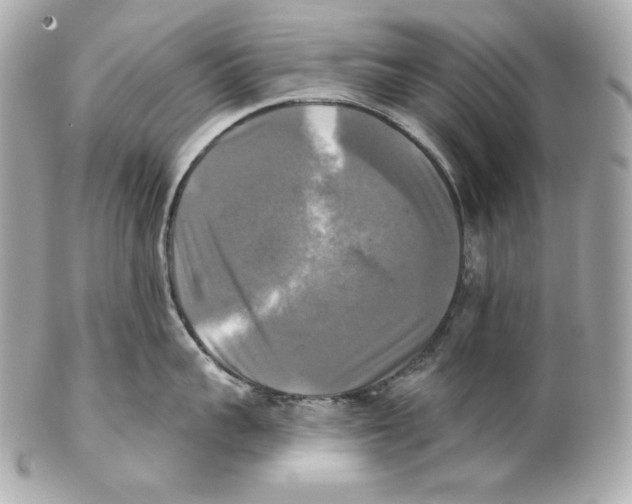 X0000102020959200808151312