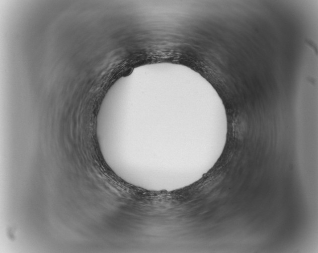 X0000102020961200808151312