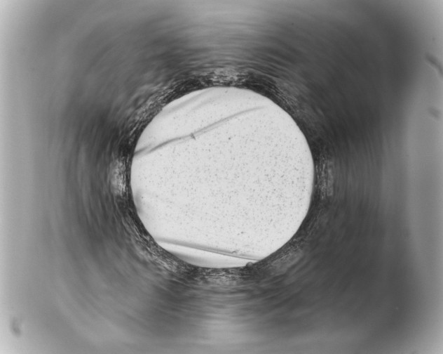 X0000102020962200808151312