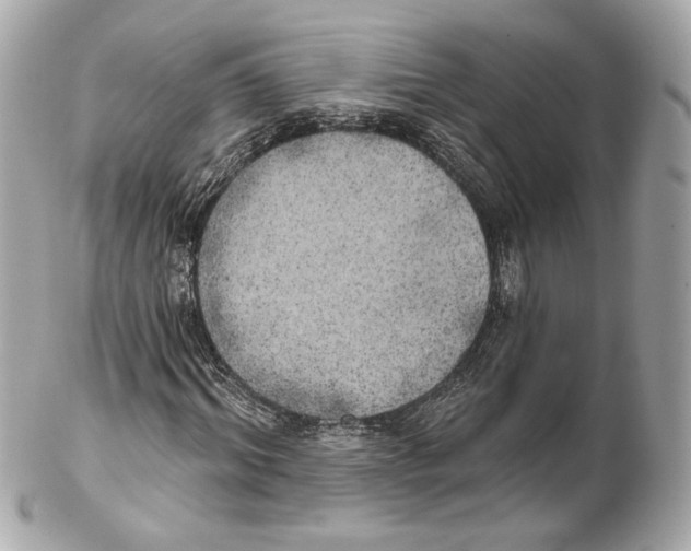 X0000102020964200808151312