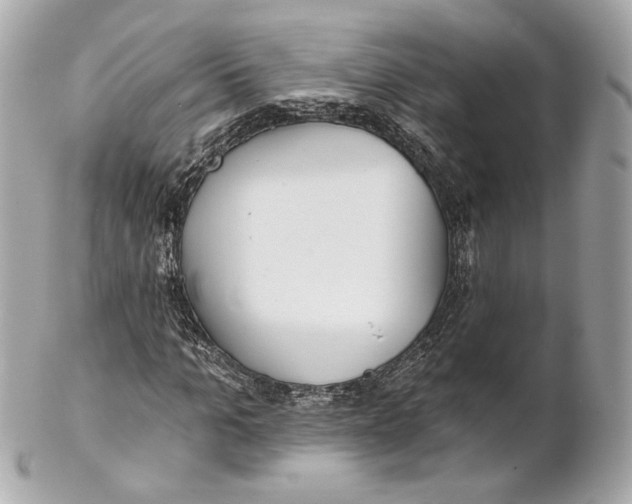 X0000102020965200808151312