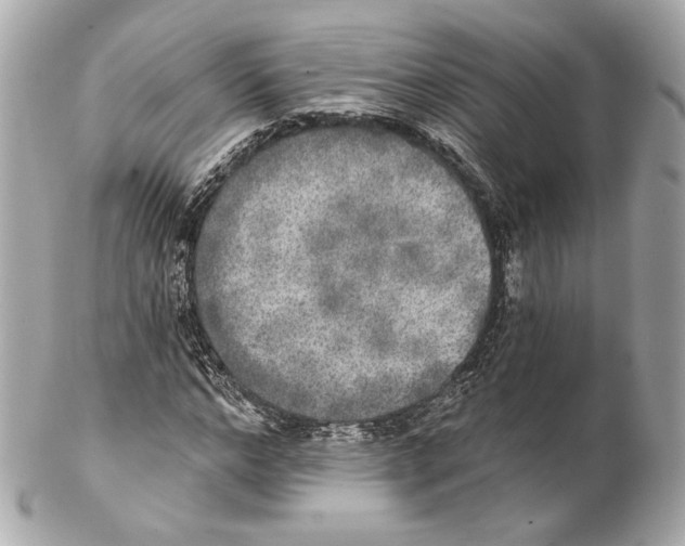 X0000102020968200808151312