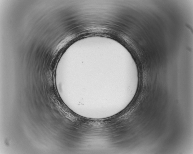 X0000102020970200808151311