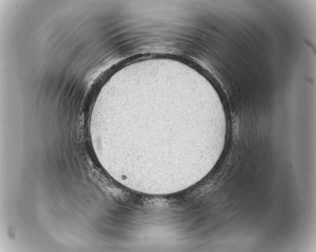 X0000102020971200808151311