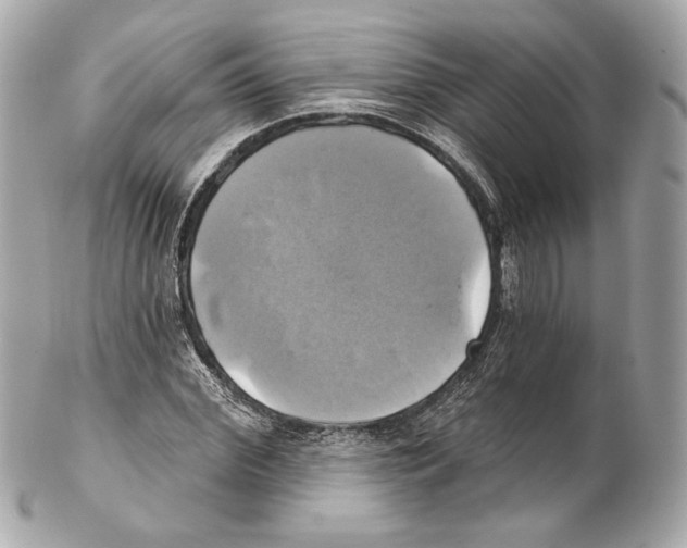 X0000102020972200808151311