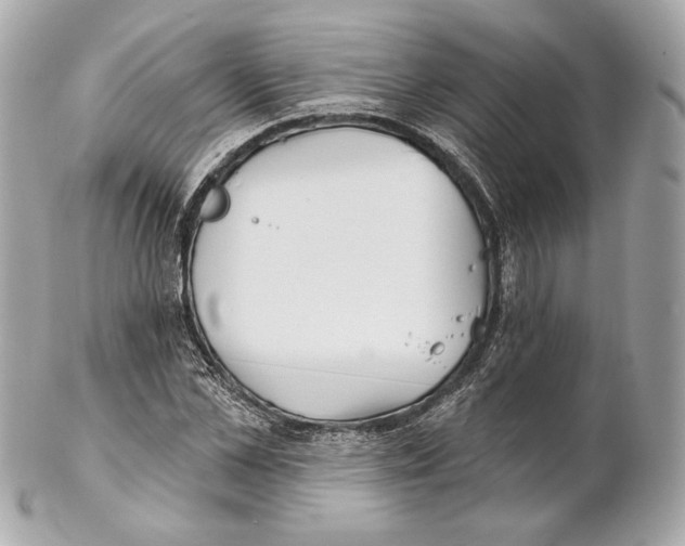 X0000102020973200808151311