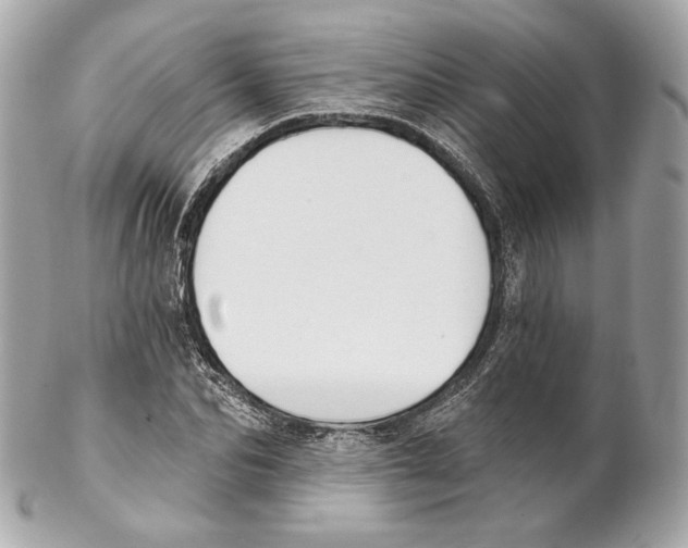X0000102020974200808151311