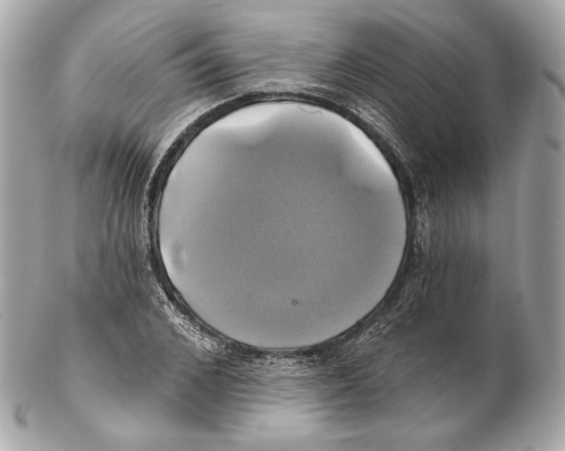 X0000102020976200808151311