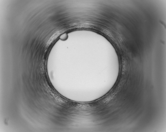 X0000102020978200808151311