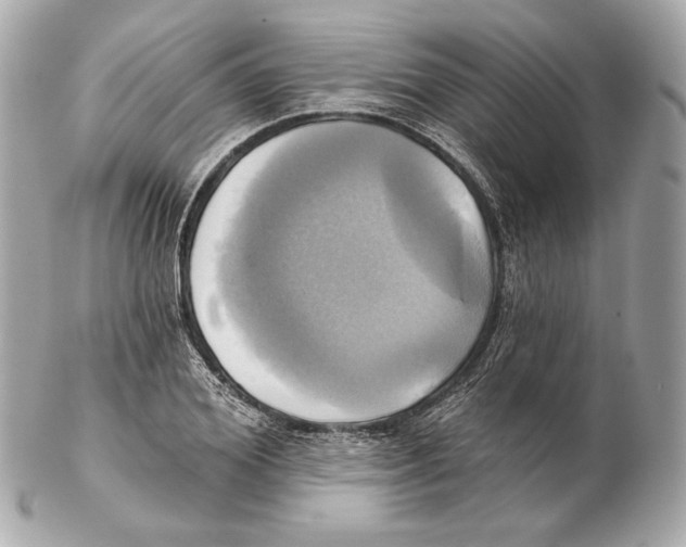 X0000102020980200808151311